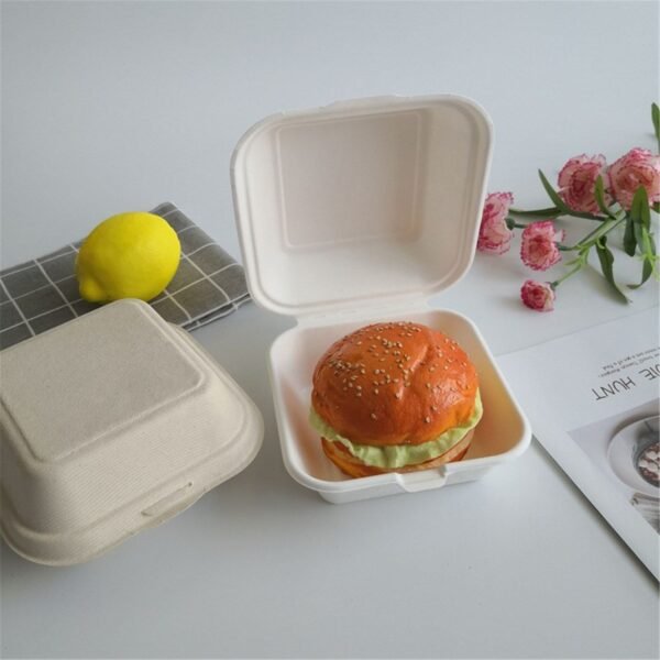 Burgar boxes
